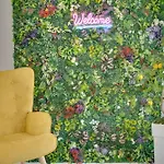 Lejlighed Lemon Paradise Centre 200m From *